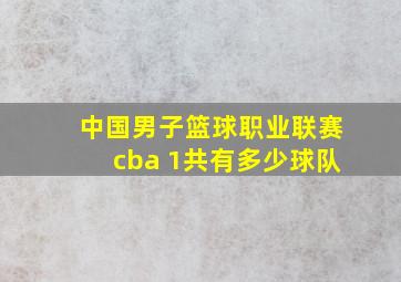 中国男子篮球职业联赛cba 1共有多少球队